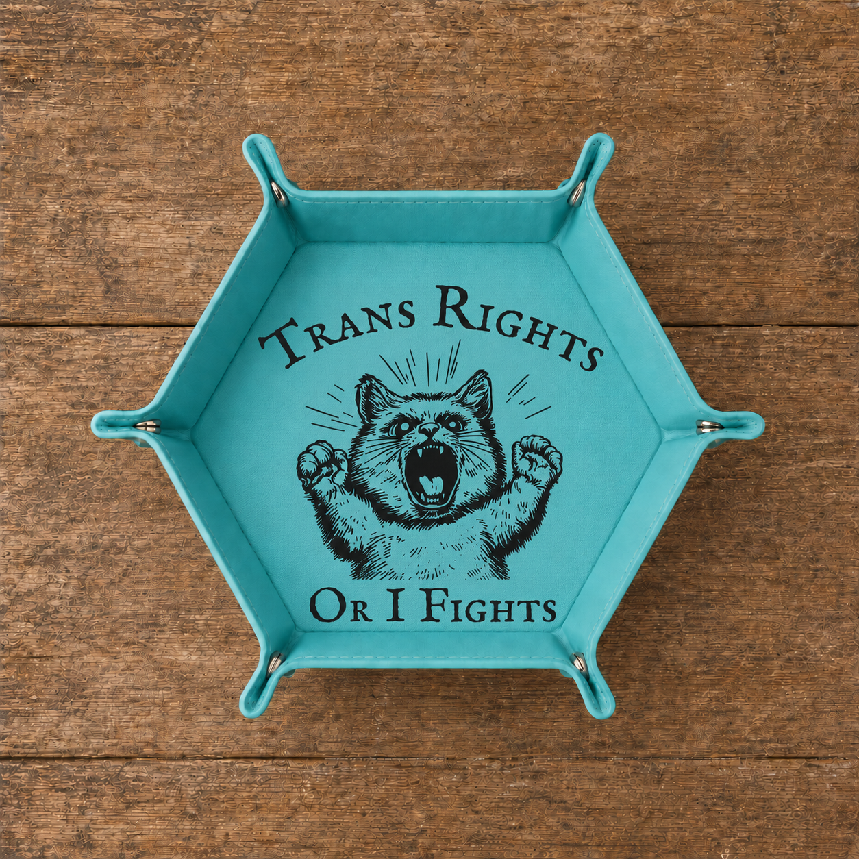 Trans Rights？Or I Fight - Dice Tray